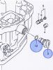 Suzuki Fresh Water  Flushing Plug and Gasket